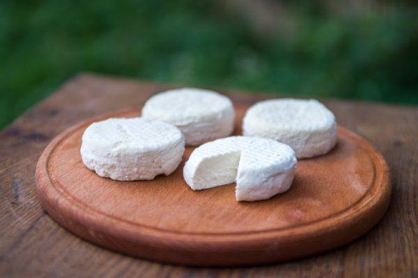 Kitsjuustu kasu organismile!